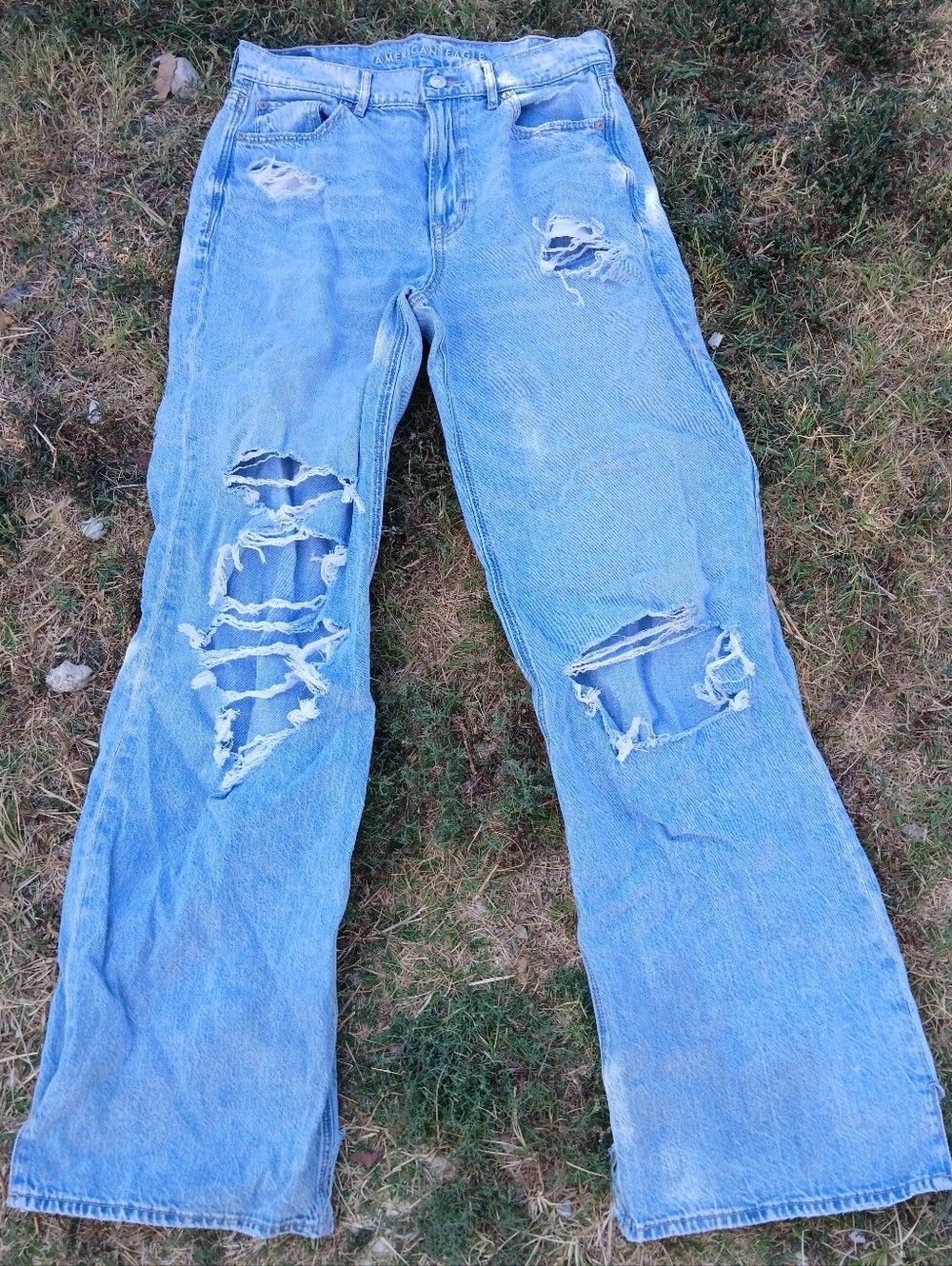 American Eagle Wide Leg Baggy